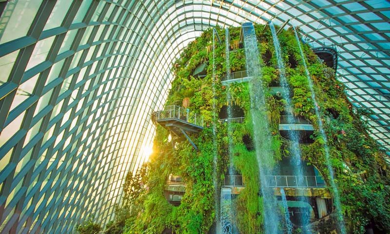 GARDEN BY THE BAY - KIỆT TÁC KIẾN TRÚC THIÊN NHIÊN CÙNG SỰ RA ĐỜI ĐẦY KÌ  CÔNG