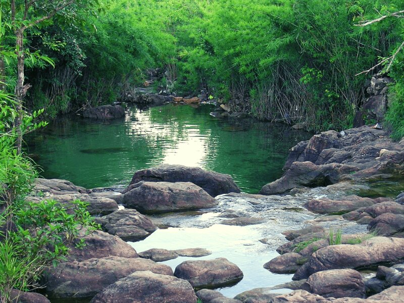 GIẢI NHIỆT NGÀY HÈ ĐẮM MÌNH TRONG LÀN NƯỚC MÁT SUỐI TRÚC Ở TÂY NINH