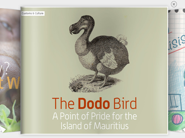 Tại sao dodo lại tuyệt chủng?
